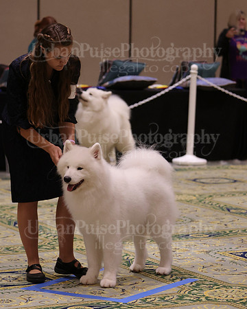 SCA2023_D12-18-3409