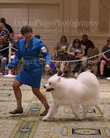 SCA2023_D12-18-3414