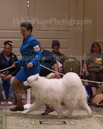 SCA2023_D12-18-3428