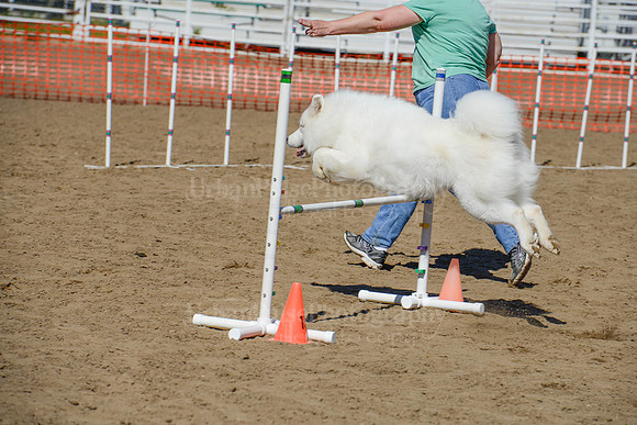 AGILITY-2347