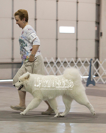 Fargo_2011-4213