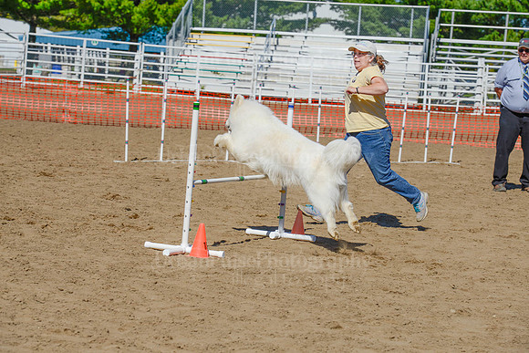 AGILITY-2380