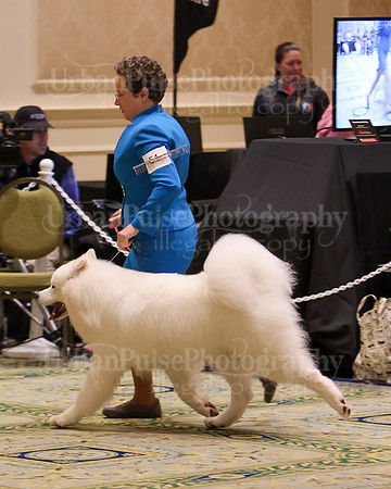 SCA2023_BRED BY ADULT-3837