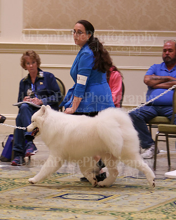 SCA2023_BRED BY ADULT-3821