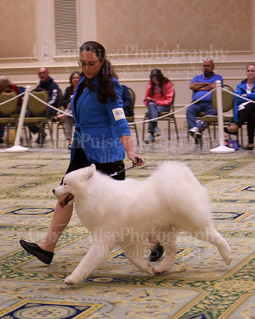 SCA2023_BRED BY ADULT-3874