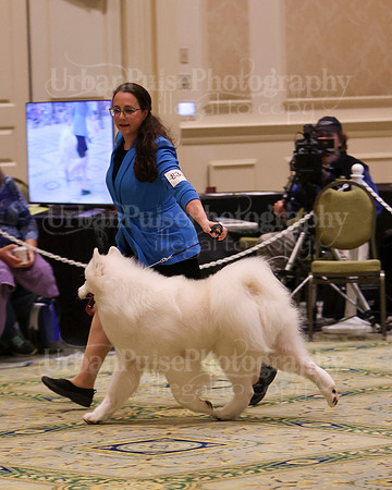 SCA2023_BRED BY ADULT-3880