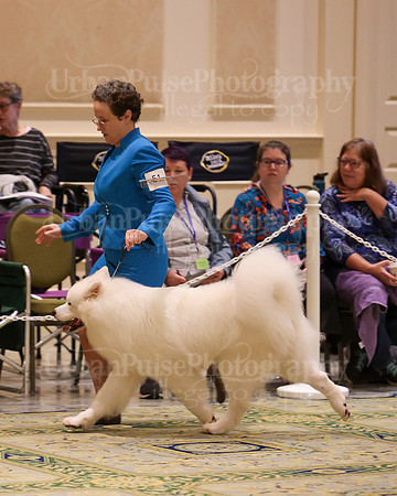 SCA2023_BRED BY ADULT-3894