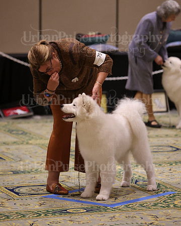SCA2023_BRED BY PUPPY-3729