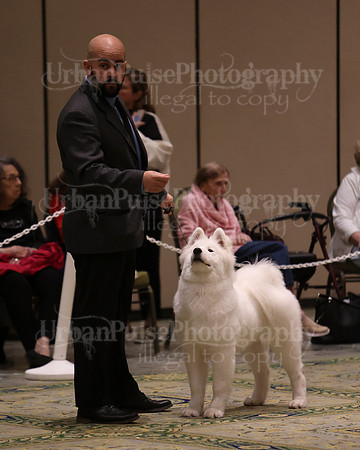 SCA2023_BRED BY PUPPY-3731
