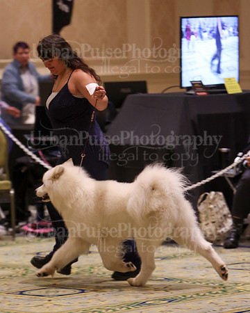 SCA2023_D AM BRED-3925