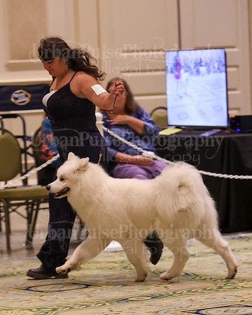 SCA2023_D AM BRED-3928