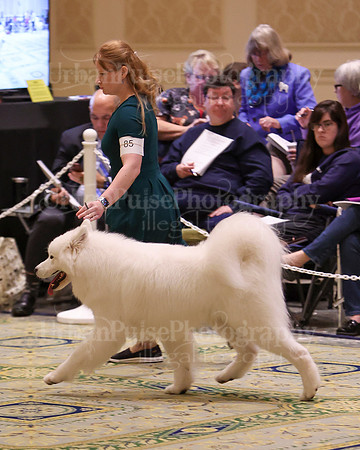 SCA2023_D AM BRED-3916