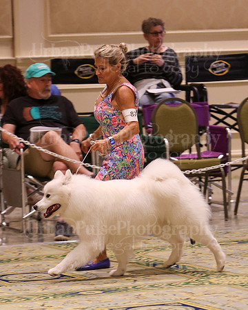 SCA2023_D AM BRED-3918