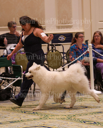 SCA2023_D AM BRED-3929