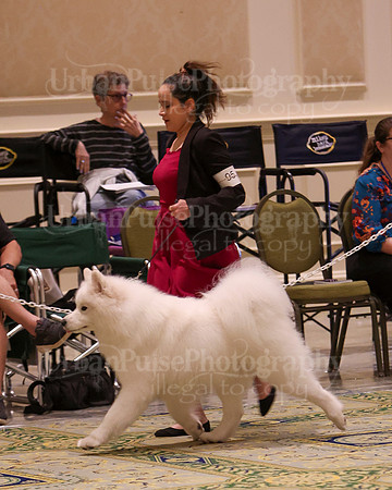 SCA2023_D AM BRED-3931