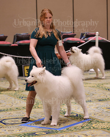 SCA2023_D AM BRED-3939