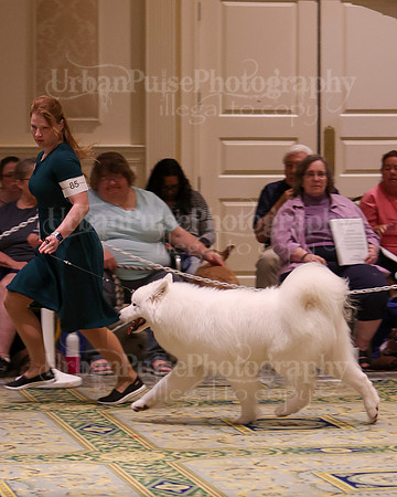 SCA2023_D AM BRED-3948