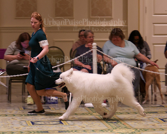 SCA2023_D AM BRED-3949