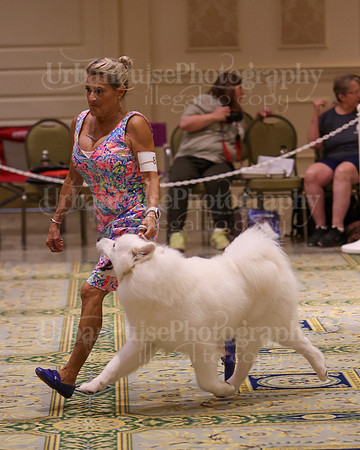 SCA2023_D AM BRED-3954