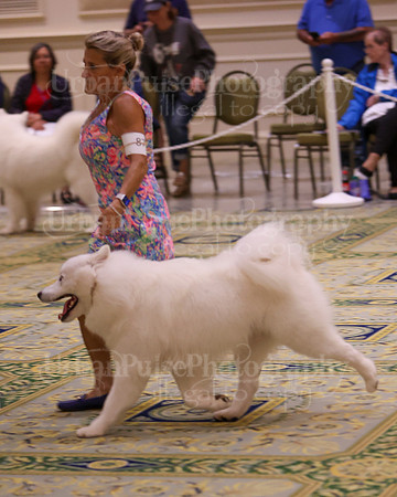 SCA2023_D AM BRED-3958