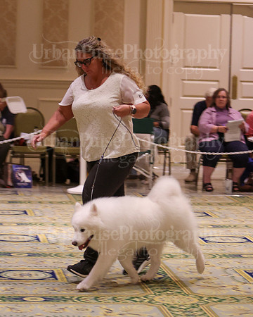 SCA2023_D AM BRED-3974