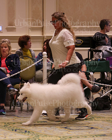 SCA2023_D AM BRED-3986