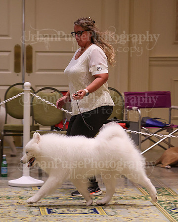 SCA2023_D AM BRED-3988
