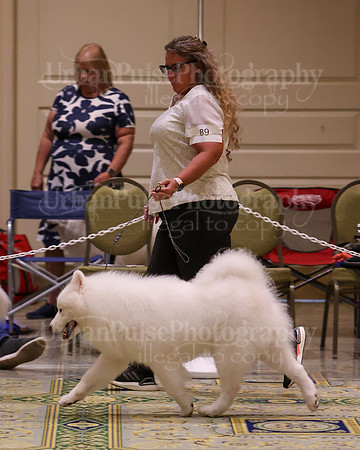 SCA2023_D AM BRED-3989