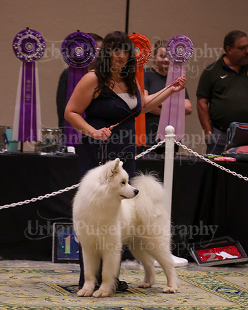 SCA2023_D AM BRED-3991