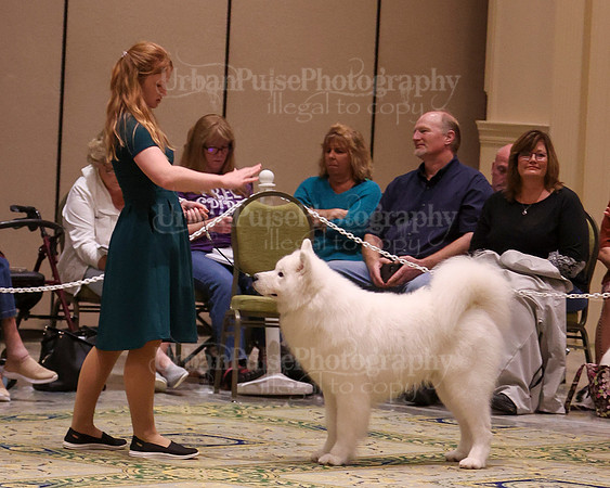 SCA2023_D AM BRED-4009