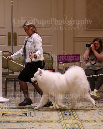 SCA2023_D AM BRED-4007