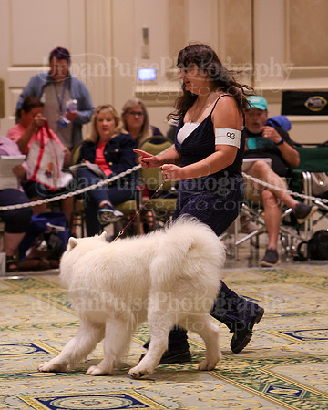 SCA2023_D AM BRED-4011
