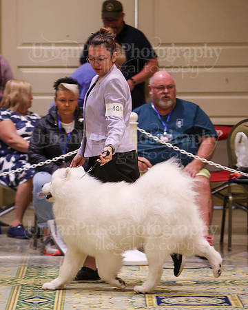 SCA2023_D OPEN-4193