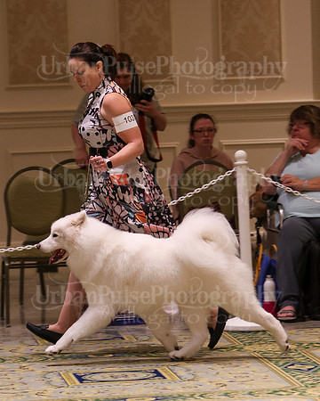 SCA2023_D OPEN-4207