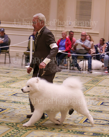 SCA2023_D OPEN-4258