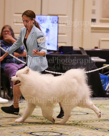 SCA2023_D OPEN-4284