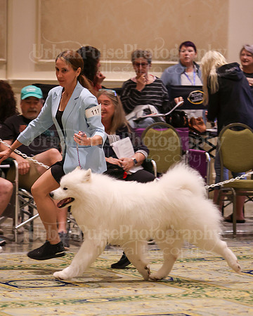 SCA2023_D OPEN-4285
