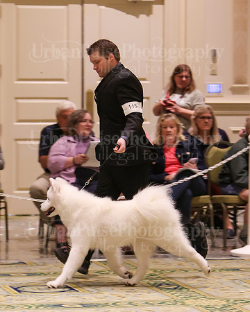 SCA2023_D OPEN-4322