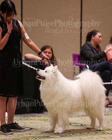 SCA2023_D OPEN-4472