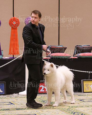 SCA2023_D OPEN-4493
