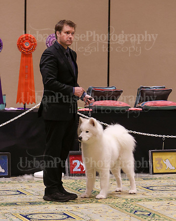 SCA2023_D OPEN-4494