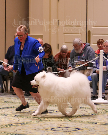 SCA2023_D OPEN-4518