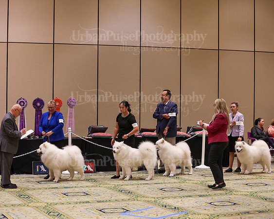 SCA2023_D OPEN-4546