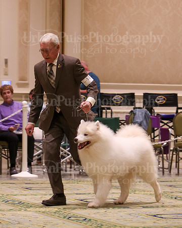 SCA2023_D8-10 VET-4667