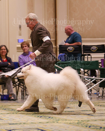SCA2023_D8-10 VET-4678