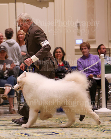 SCA2023_D8-10 VET-4679