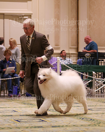 SCA2023_D8-10 VET-4668