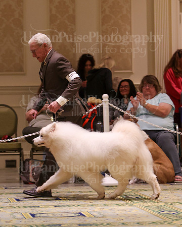 SCA2023_D8-10 VET-4681