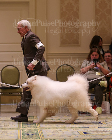 SCA2023_D8-10 VET-4682