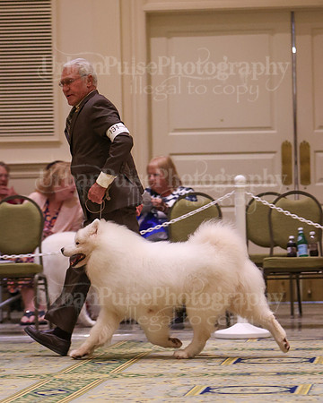 SCA2023_D8-10 VET-4684